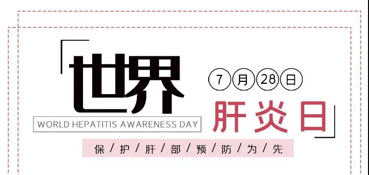 世界肝炎日——積極預(yù)防，主動檢測，規(guī)范治療，全面遏制肝炎危害！