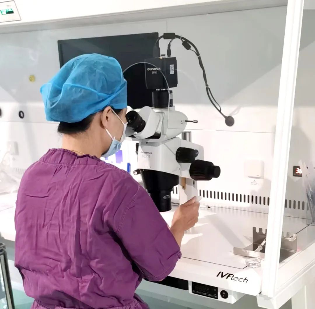 【喜訊】保山首例無精子癥通過試管嬰兒技術(shù)助孕成功！